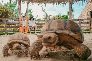 Thavorn Palm Beach Resort fotoÄŸrafÄ±