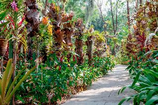 Thavorn Palm Beach Resort fotoÄŸrafÄ±