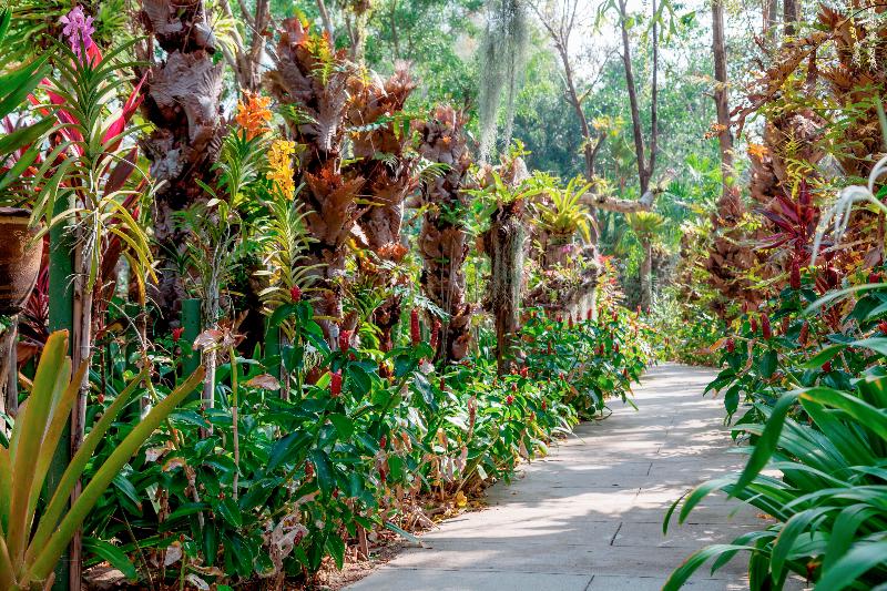 Thavorn Palm Beach Resort - Genel