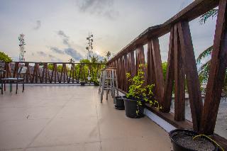Violet Inn fotoÄŸrafÄ±