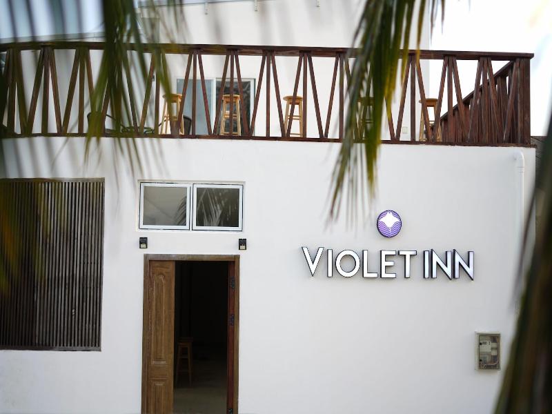 Violet Inn - Genel