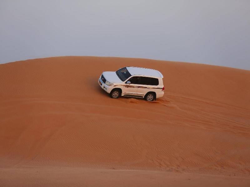Thousand Nights Camp - Genel