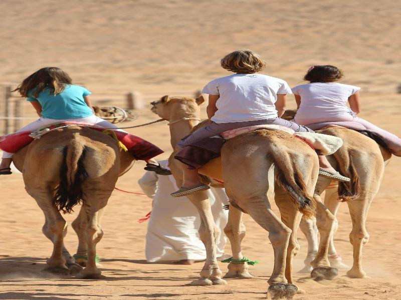 Thousand Nights Camp - Genel