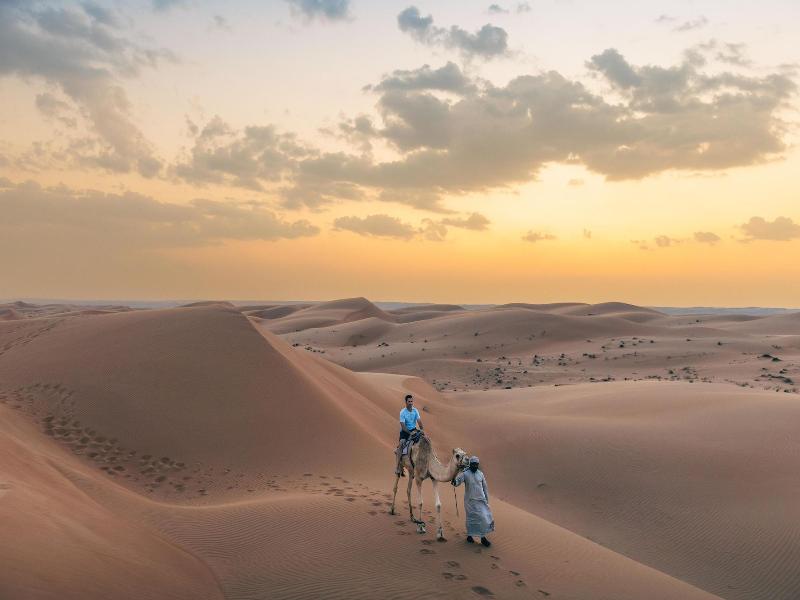 Thousand Nights Camp - Genel