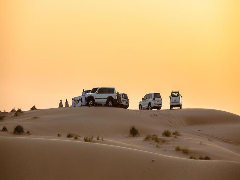 Thousand Nights Camp - Genel