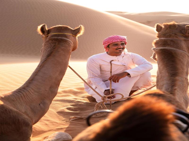 Thousand Nights Camp - Genel