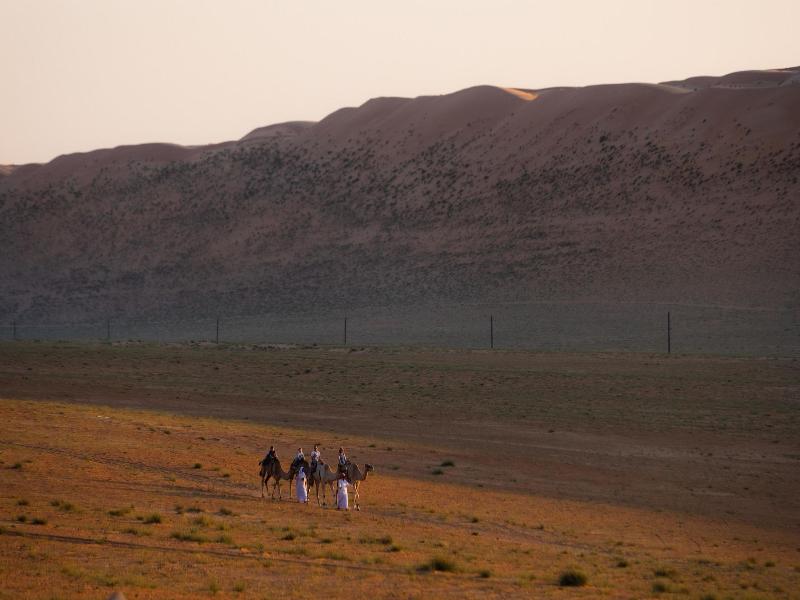 Thousand Nights Camp - Genel