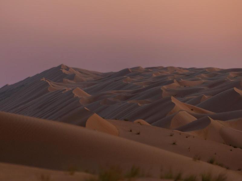 Thousand Nights Camp - Genel