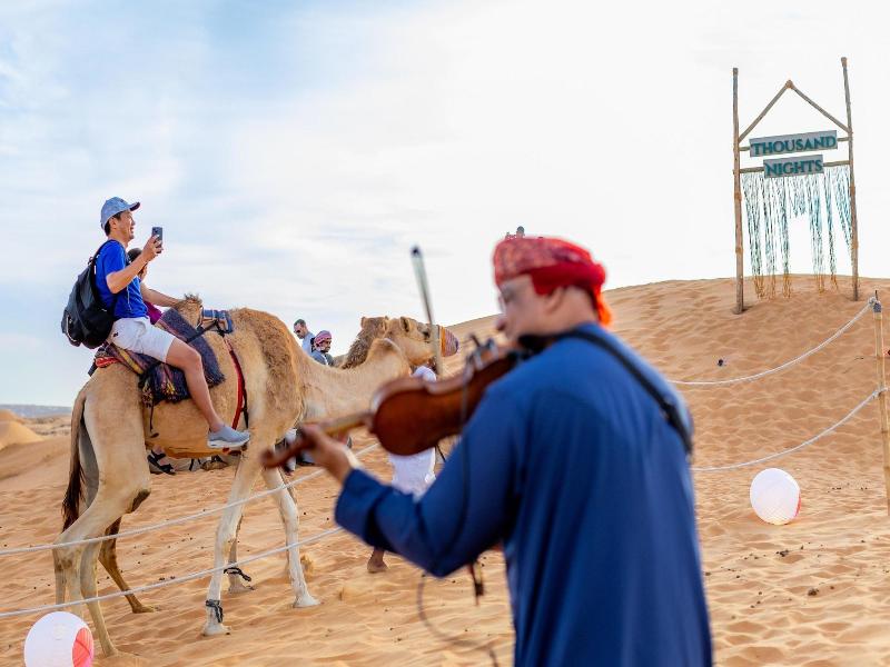 Thousand Nights Camp - Genel