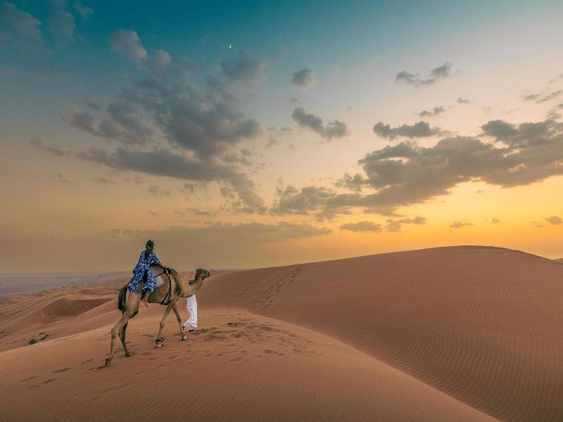 Thousand Nights Camp - Genel