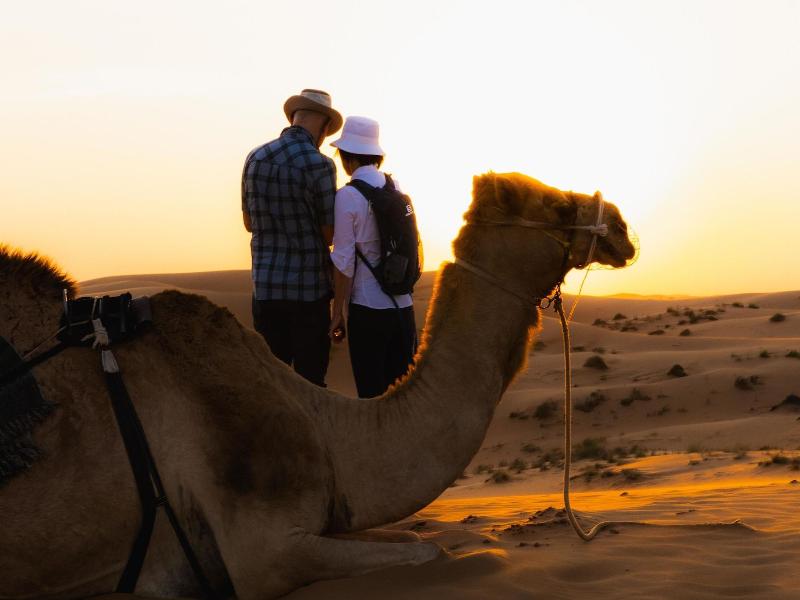 Thousand Nights Camp - Genel
