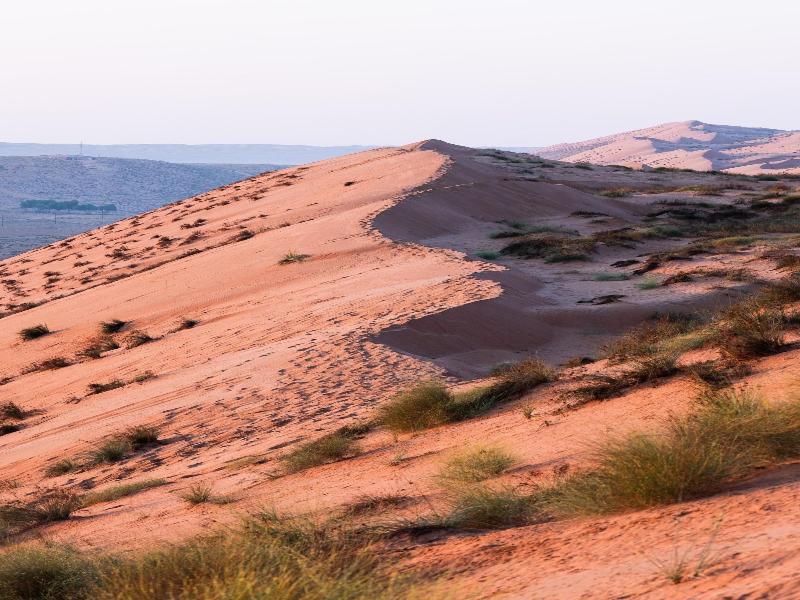 Thousand Nights Camp - Genel