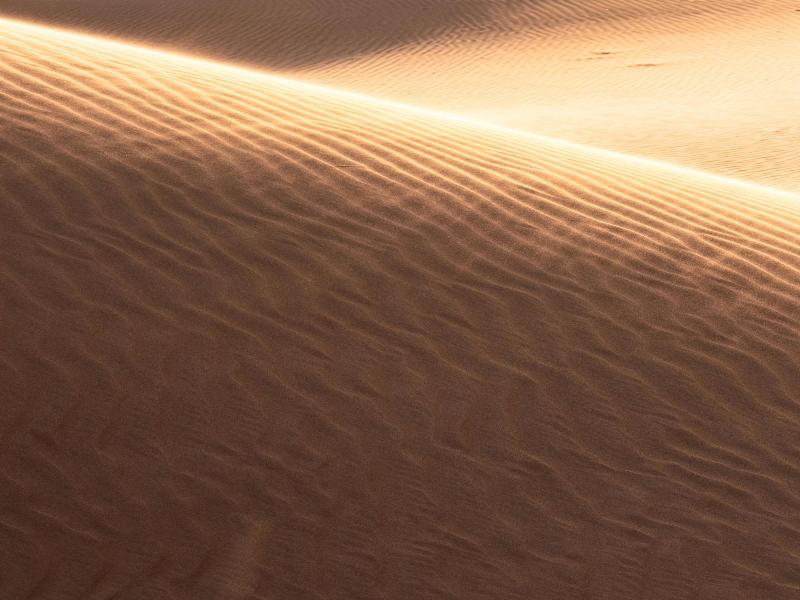 Thousand Nights Camp - Genel