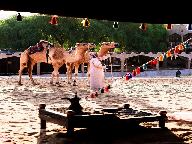 Thousand Nights Camp - Genel