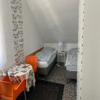 Bigus fotoÄŸrafÄ±