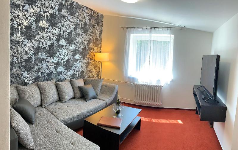 Hotel Kamzík - Oda
