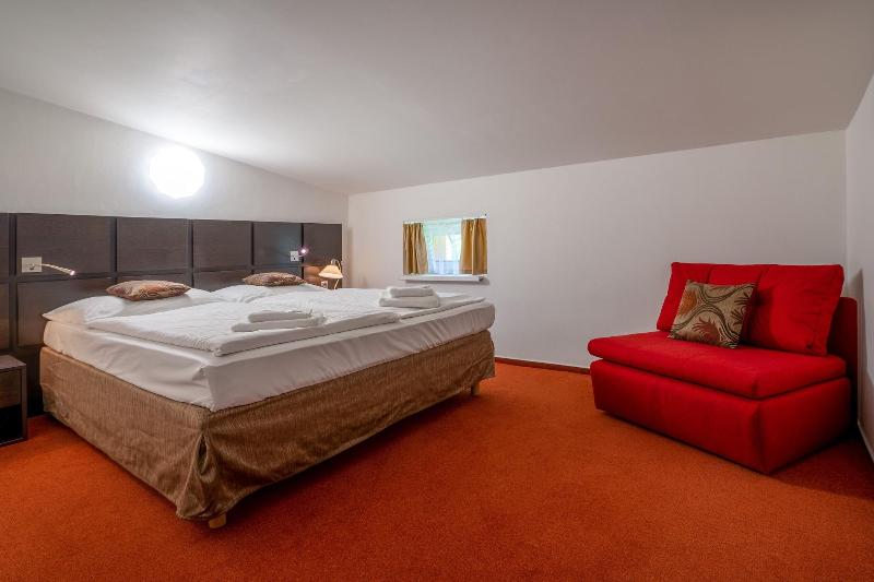 Hotel Kamzík - Oda