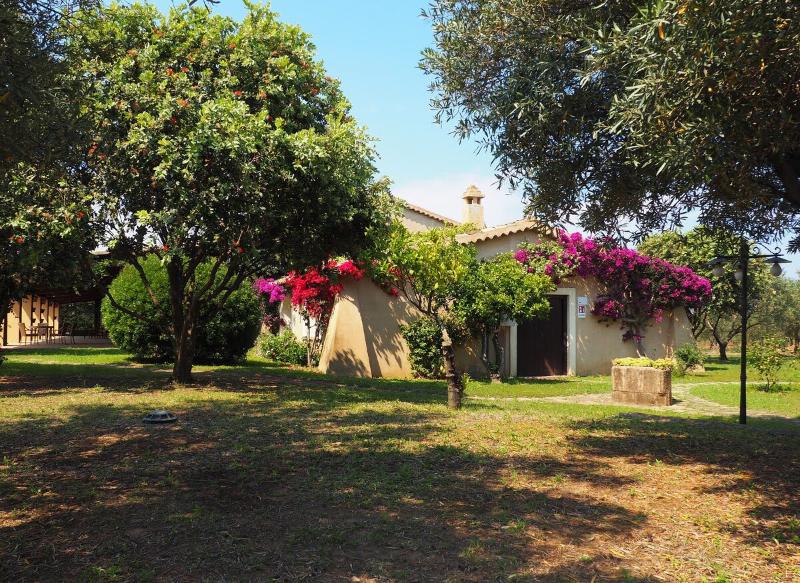 Borghetto Beach Resort - Teras