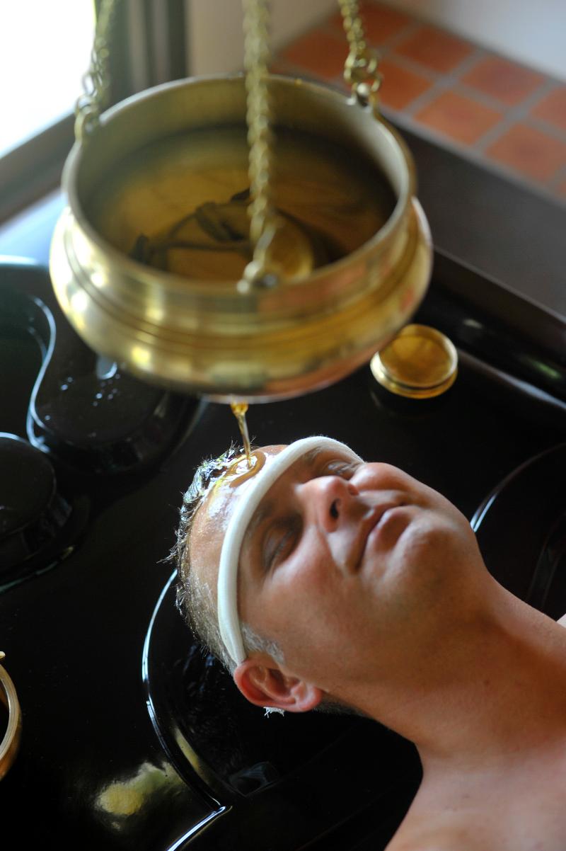Mangosteen Ayurveda & Wellness Resort - Aktivite