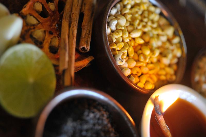 Mangosteen Ayurveda & Wellness Resort - Aktivite