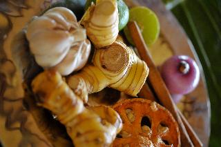 Mangosteen Ayurveda & Wellness Resort fotoÄŸrafÄ±