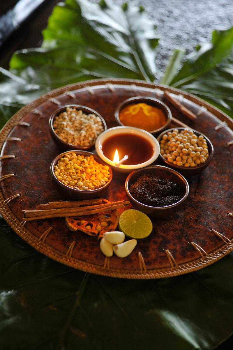 Mangosteen Ayurveda & Wellness Resort - Aktivite