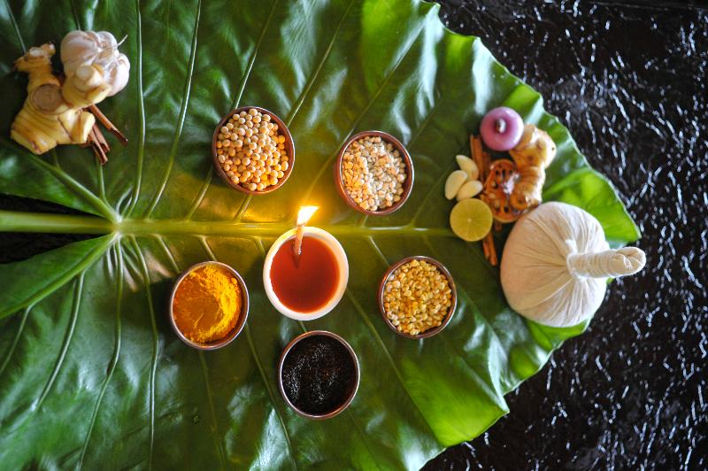 Mangosteen Ayurveda & Wellness Resort - Aktivite