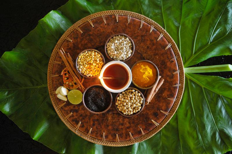 Mangosteen Ayurveda & Wellness Resort - Aktivite