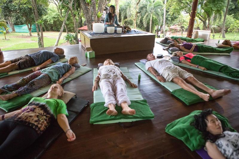 Mangosteen Ayurveda & Wellness Resort - Aktivite