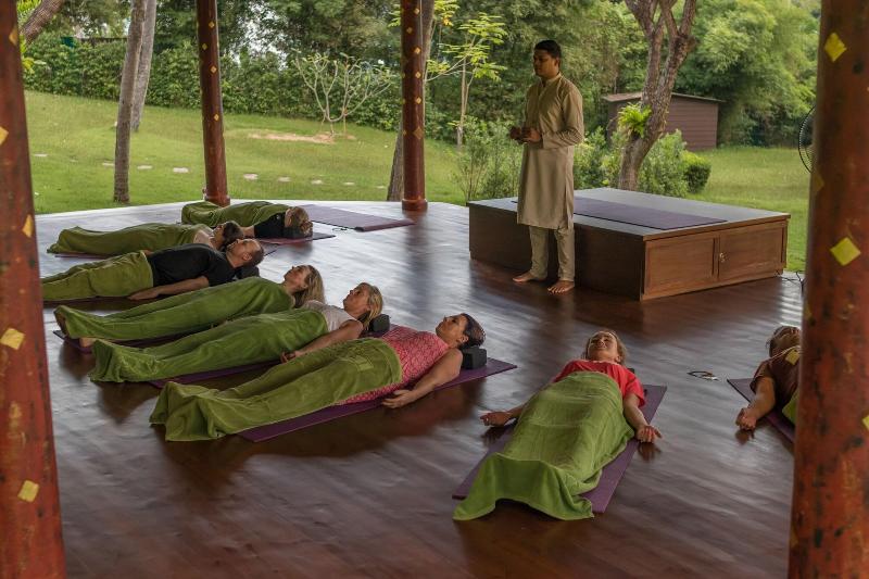 Mangosteen Ayurveda & Wellness Resort - Aktivite