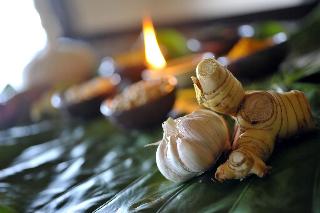 Mangosteen Ayurveda & Wellness Resort fotoÄŸrafÄ±