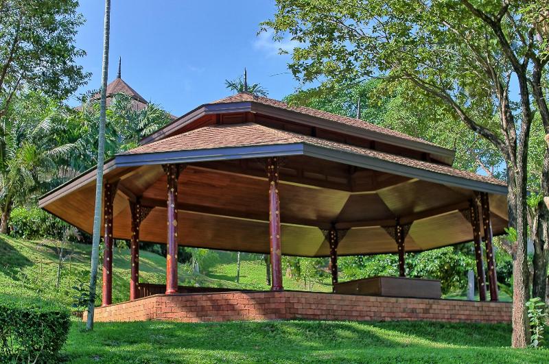Mangosteen Ayurveda & Wellness Resort - Aktivite