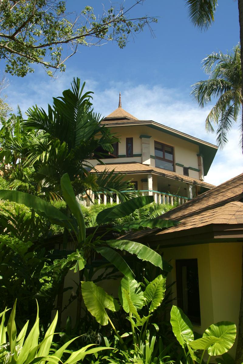 Mangosteen Ayurveda & Wellness Resort - Aktivite