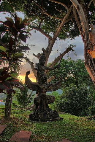 Mangosteen Ayurveda & Wellness Resort fotoÄŸrafÄ±