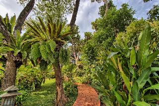 Mangosteen Ayurveda & Wellness Resort fotoÄŸrafÄ±