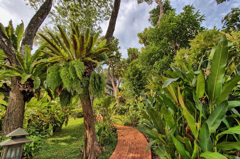 Mangosteen Ayurveda & Wellness Resort - Genel