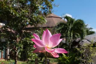Mangosteen Ayurveda & Wellness Resort fotoÄŸrafÄ±