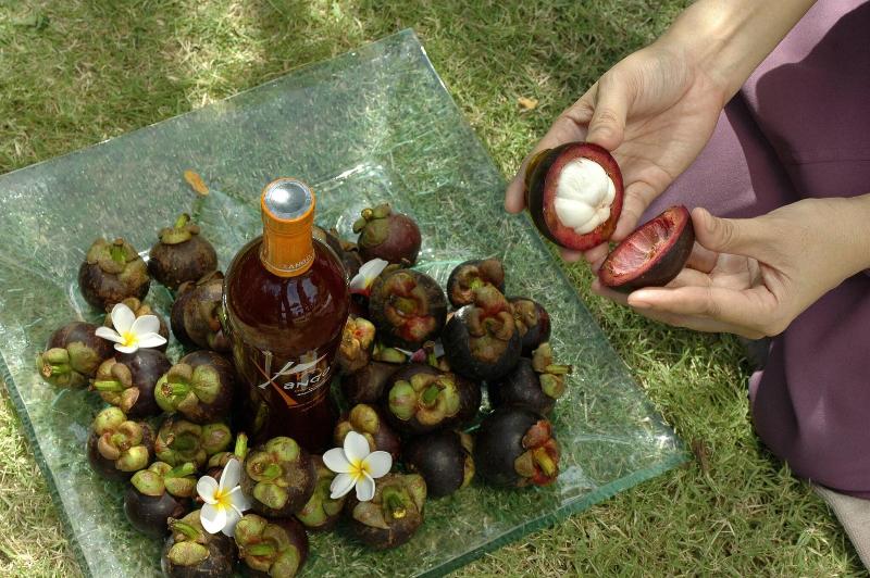 Mangosteen Ayurveda & Wellness Resort - Genel