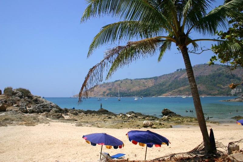 Mangosteen Ayurveda & Wellness Resort - Havuz