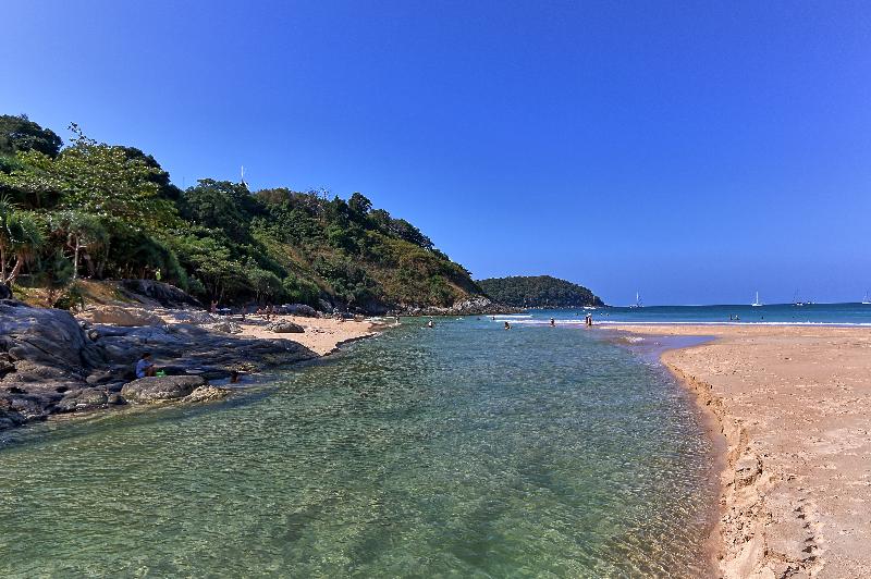 Mangosteen Ayurveda & Wellness Resort - Havuz