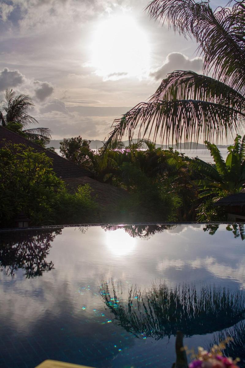 Mangosteen Ayurveda & Wellness Resort - Havuz