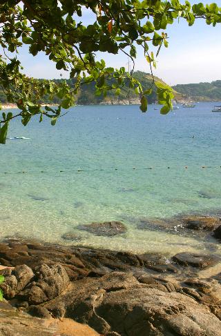 Mangosteen Ayurveda & Wellness Resort fotoÄŸrafÄ±