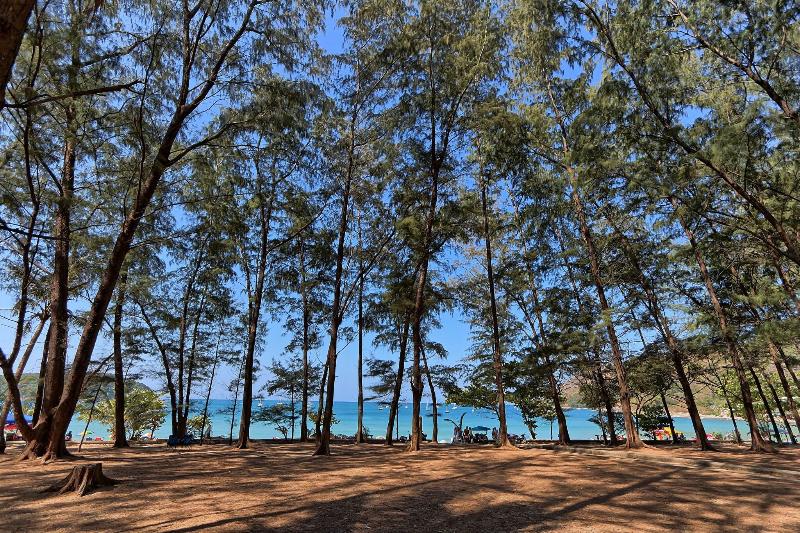 Mangosteen Ayurveda & Wellness Resort - Plaj