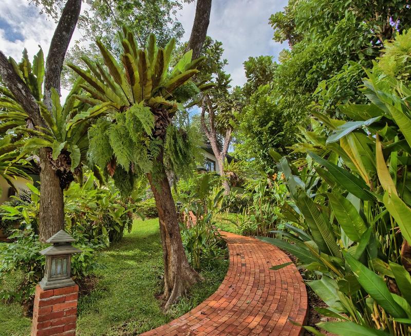 Mangosteen Ayurveda & Wellness Resort - Teras