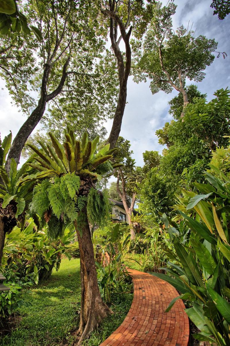 Mangosteen Ayurveda & Wellness Resort - Teras