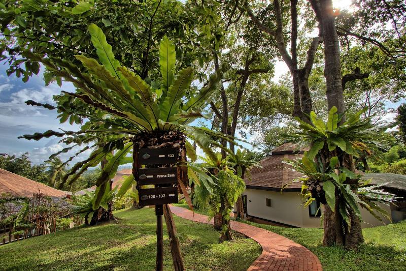 Mangosteen Ayurveda & Wellness Resort - Teras