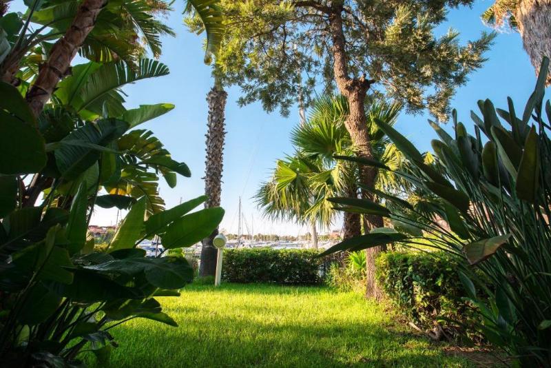 Porto Rosa - Genel