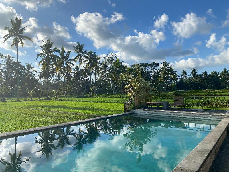 Hening Suite Ubud - Havuz