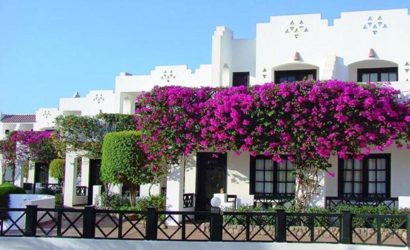 Verginia Sharm Resort & Aqua Park - Genel