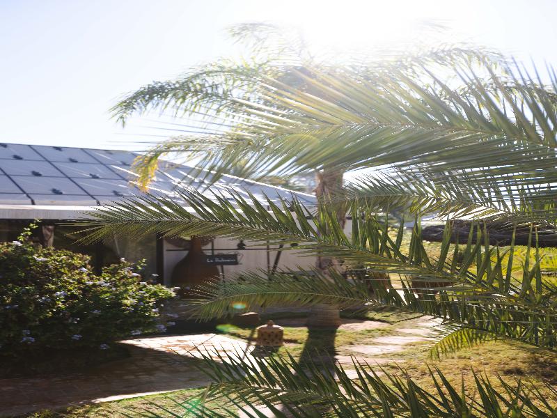 Eden Lodges & Spa-Boutique Hôtel de Luxe - Teras
